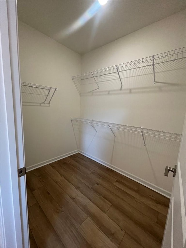 spacious closet with dark wood-type flooring