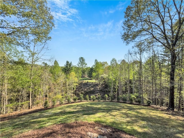 120 Links View Ct, Sunset, SC 29685 - view of yard featuring a view of trees