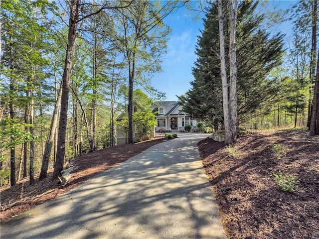 120 Links View Ct, Sunset, SC 29685 - view of front of property with driveway