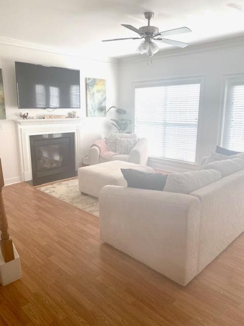 living area featuring a glass covered fireplace, wood finished floors, ceiling fan, and crown molding