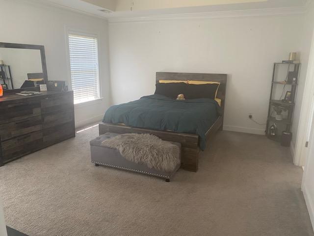 bedroom featuring carpet flooring, baseboards, and ornamental molding