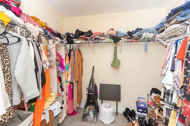 118 Easy Gap Rd, Anderson, SC 29621 - walk in closet with carpet
