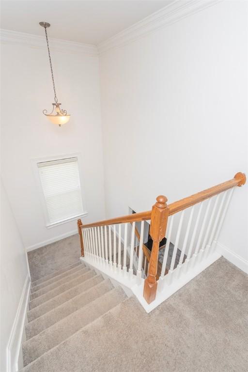 118 Easy Gap Rd, Anderson, SC 29621 - staircase with carpet, crown molding, and baseboards