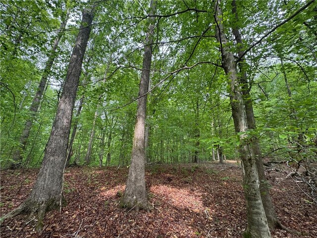 1220 Watson Rd, Enoree, SC 29335 - photo 12