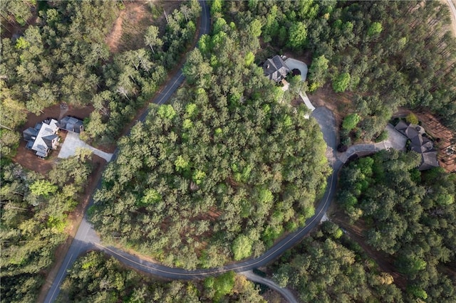 LOTE-19 Golden Bear Dr, Sunset, SC 29685 - photo 2