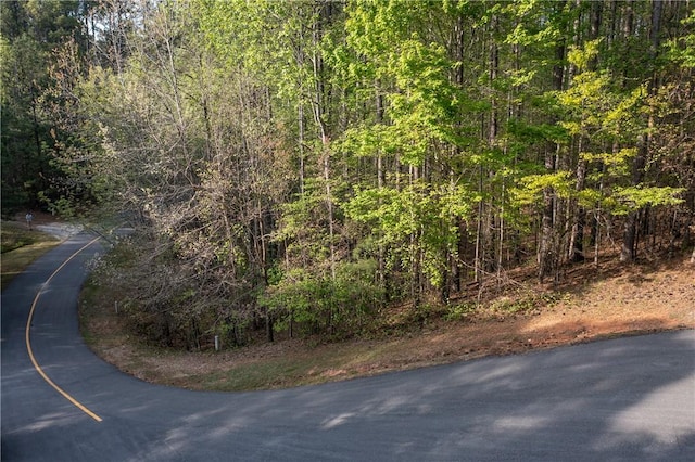 LOTE-19 Golden Bear Dr, Sunset, SC 29685 - photo 3