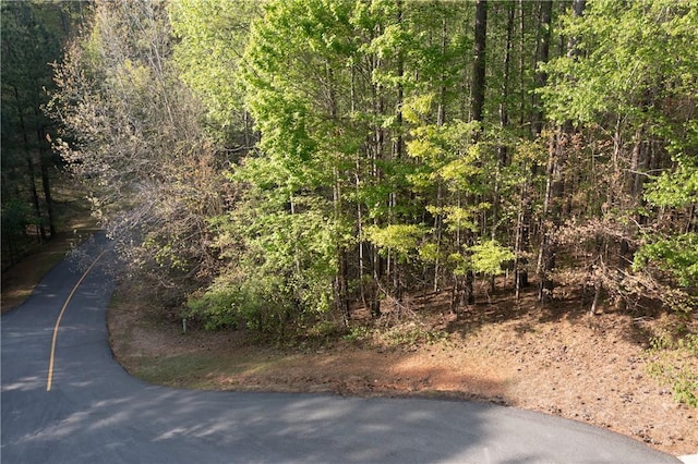 LOTE-19 Golden Bear Dr, Sunset, SC 29685 - photo 6