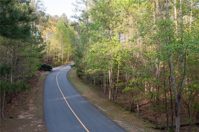 LOTE-19 Golden Bear Dr, Sunset, SC 29685 - photo 8