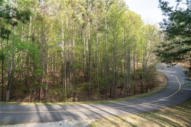 LOTE-19 Golden Bear Dr, Sunset, SC 29685 - photo 9