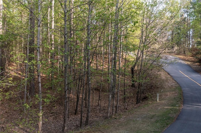 LOTE-19 Golden Bear Dr, Sunset, SC 29685 - photo 12