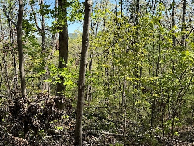113 Stone Creek Ct, Pickens, SC 29671 - photo 2
