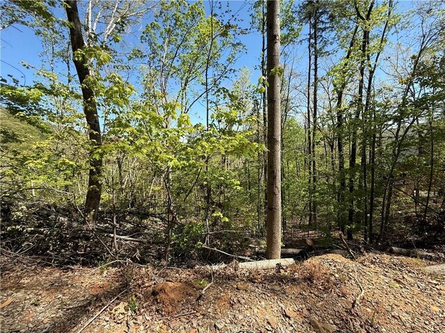 113 Stone Creek Ct, Pickens, SC 29671 - photo 6