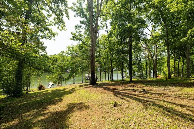802 Dogwood Ln, Townville, SC 29689 - photo 29