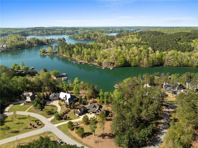 211 Quay Ct, Sunset, SC 29685 - aerial view featuring a forest view and a water view