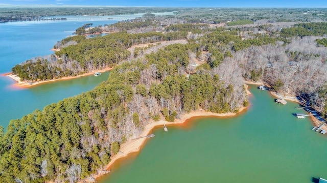 drone / aerial view with a water view and a wooded view
