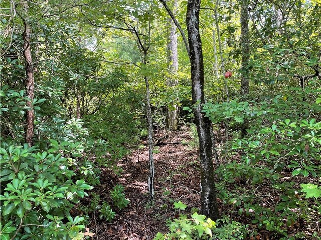 00 Easy St, Tamassee, SC 29686