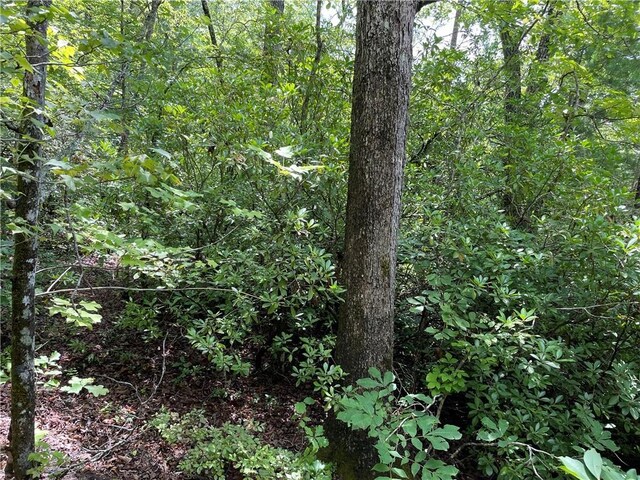 00 Easy St, Tamassee, SC 29686