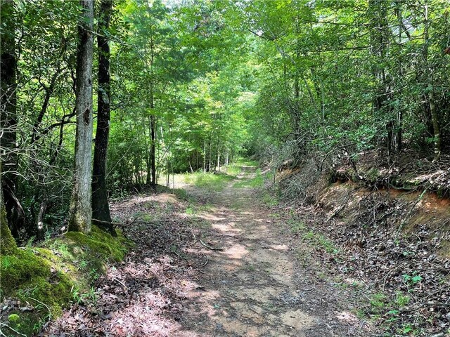 00 Easy St, Tamassee, SC 29686