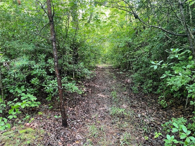 00 Easy St, Tamassee, SC 29686