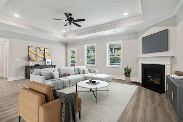 living area with a raised ceiling, light wood finished floors, a ceiling fan, and ornamental molding
