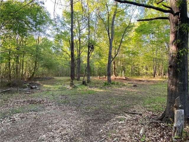 884 Martin Rd, Starr, SC 29684