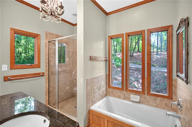 234 Chandlers Ferry Dr, Hartwell, GA 30643 - bathroom featuring a sink, a stall shower, an inviting chandelier, a garden tub, and ornamental molding