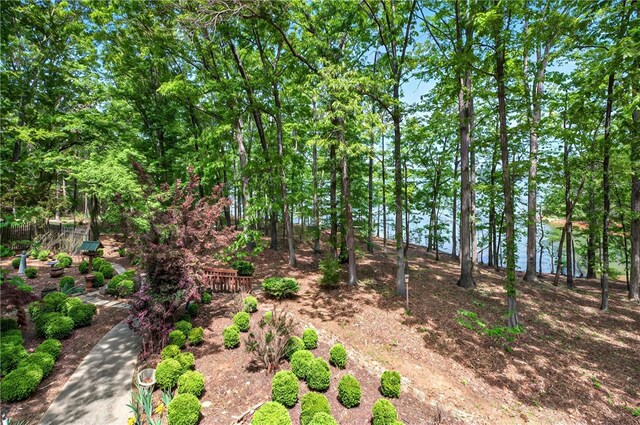 234 Chandlers Ferry Dr, Hartwell, GA 30643 - view of local wilderness
