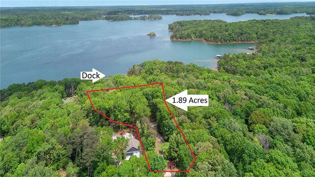 234 Chandlers Ferry Dr, Hartwell, GA 30643 - aerial view with a forest view and a water view