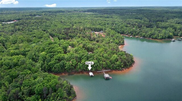 234 Chandlers Ferry Dr, Hartwell, GA 30643 - bird's eye view with a forest view and a water view