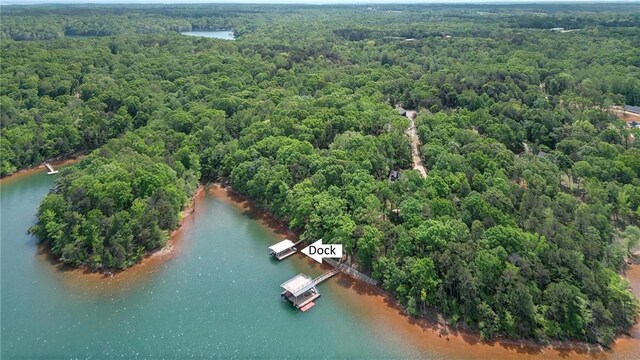 234 Chandlers Ferry Dr, Hartwell, GA 30643 - drone / aerial view with a wooded view and a water view