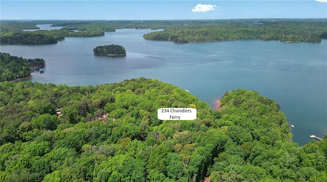 234 Chandlers Ferry Dr, Hartwell, GA 30643 - bird's eye view featuring a wooded view and a water view