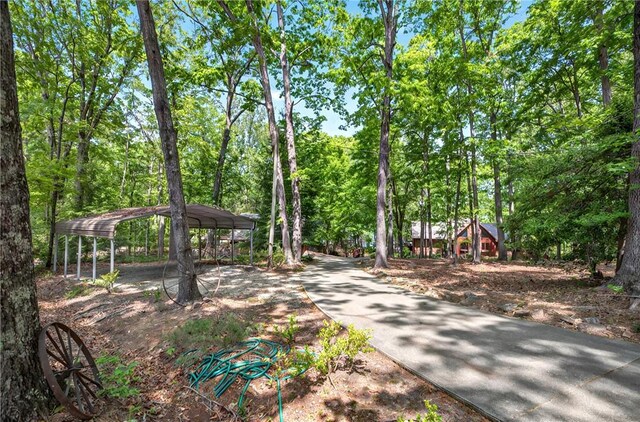 234 Chandlers Ferry Dr, Hartwell, GA 30643 - view of community featuring a detached carport and driveway