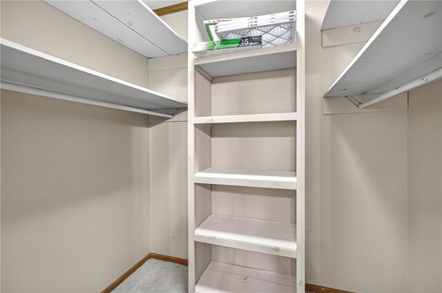 234 Chandlers Ferry Dr, Hartwell, GA 30643 - walk in closet with carpet floors