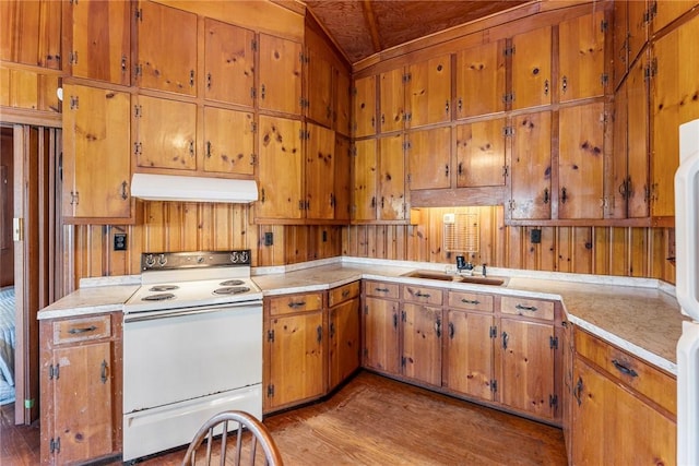 kitchen with a sink, brown cabinetry, light wood-style flooring, under cabinet range hood, and white electric stove