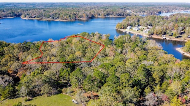 birds eye view of property featuring a forest view and a water view