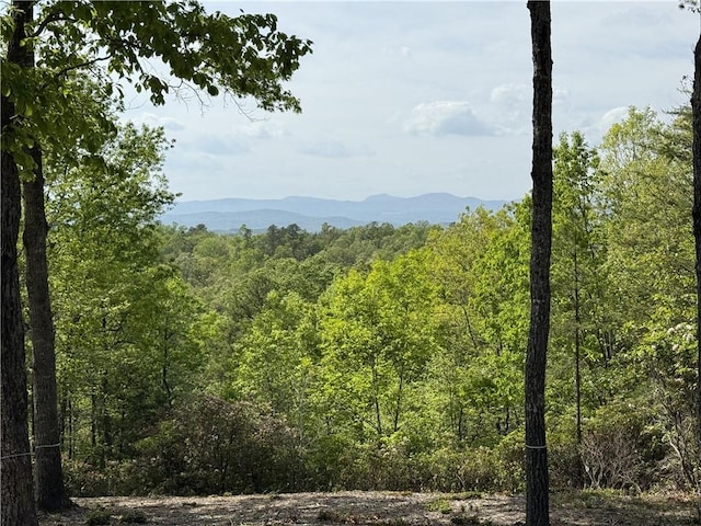 105 Parkview Ln, Sunset, SC 29685 - photo 2