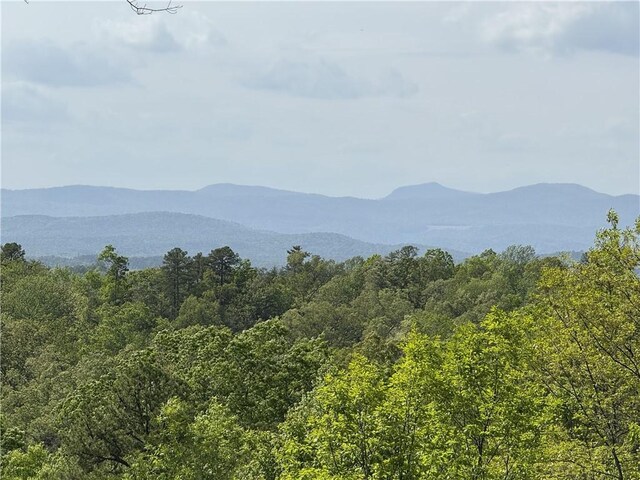105 Parkview Ln, Sunset, SC 29685 - photo 3