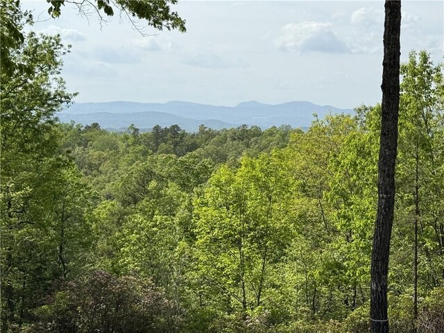 105 Parkview Ln, Sunset, SC 29685 - photo 4
