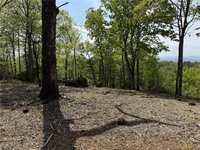 105 Parkview Ln, Sunset, SC 29685 - photo 5