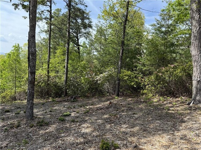 105 Parkview Ln, Sunset, SC 29685 - photo 6