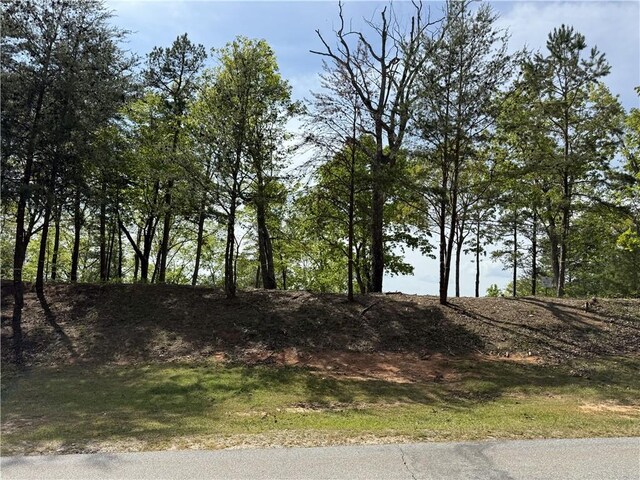 105 Parkview Ln, Sunset, SC 29685 - photo 7