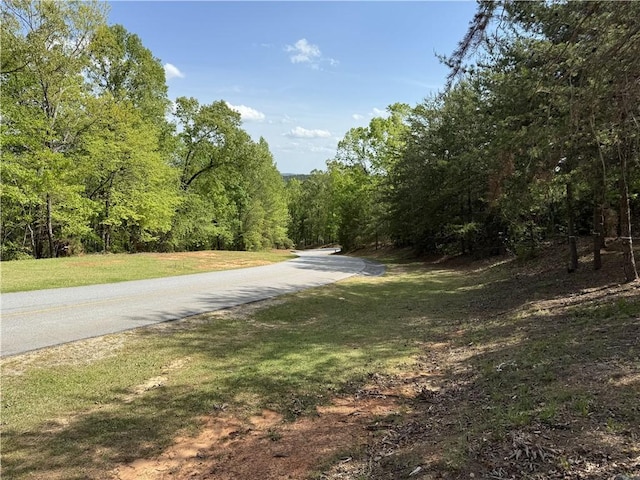 105 Parkview Ln, Sunset, SC 29685 - photo 8