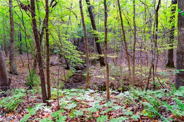 10381 Indian Mound Rd, Ware Shoals, SC 29692