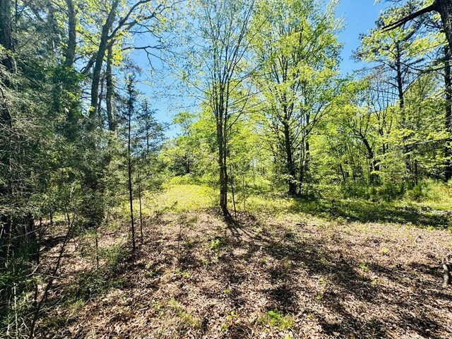 10381 Indian Mound Rd, Ware Shoals, SC 29692