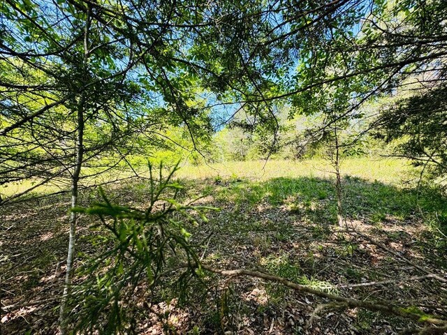 10381 Indian Mound Rd, Ware Shoals, SC 29692