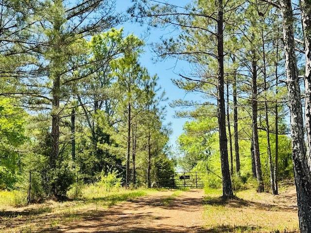 10381 Indian Mound Rd, Ware Shoals, SC 29692