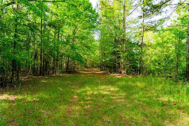 10381 Indian Mound Rd, Ware Shoals, SC 29692