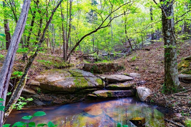 10381 Indian Mound Rd, Ware Shoals, SC 29692