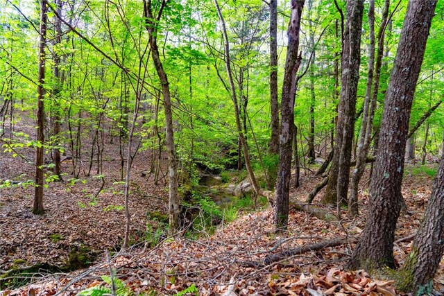 10381 Indian Mound Rd, Ware Shoals, SC 29692