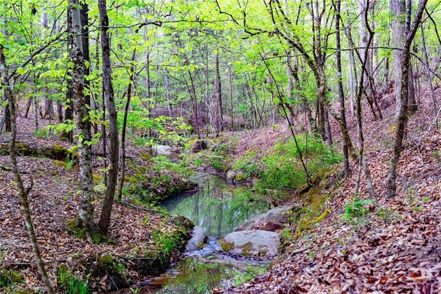 10381 Indian Mound Rd, Ware Shoals, SC 29692